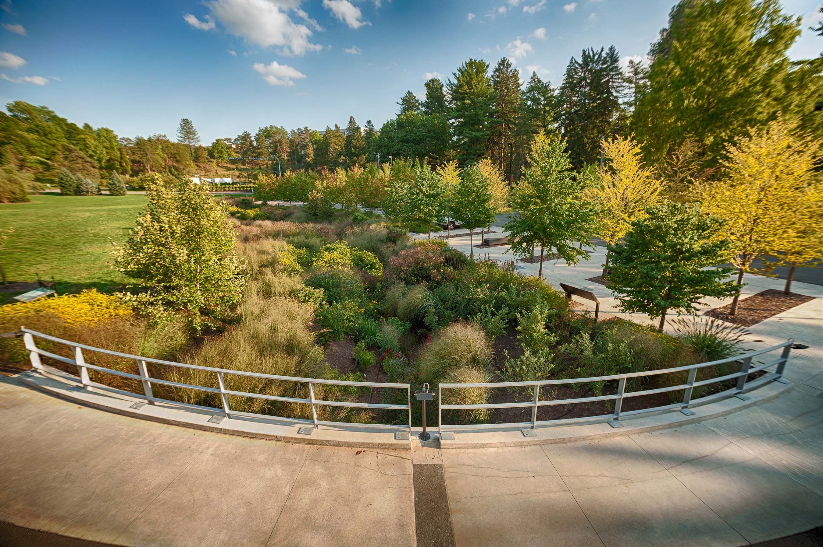 Botanic Gardens Bioswale