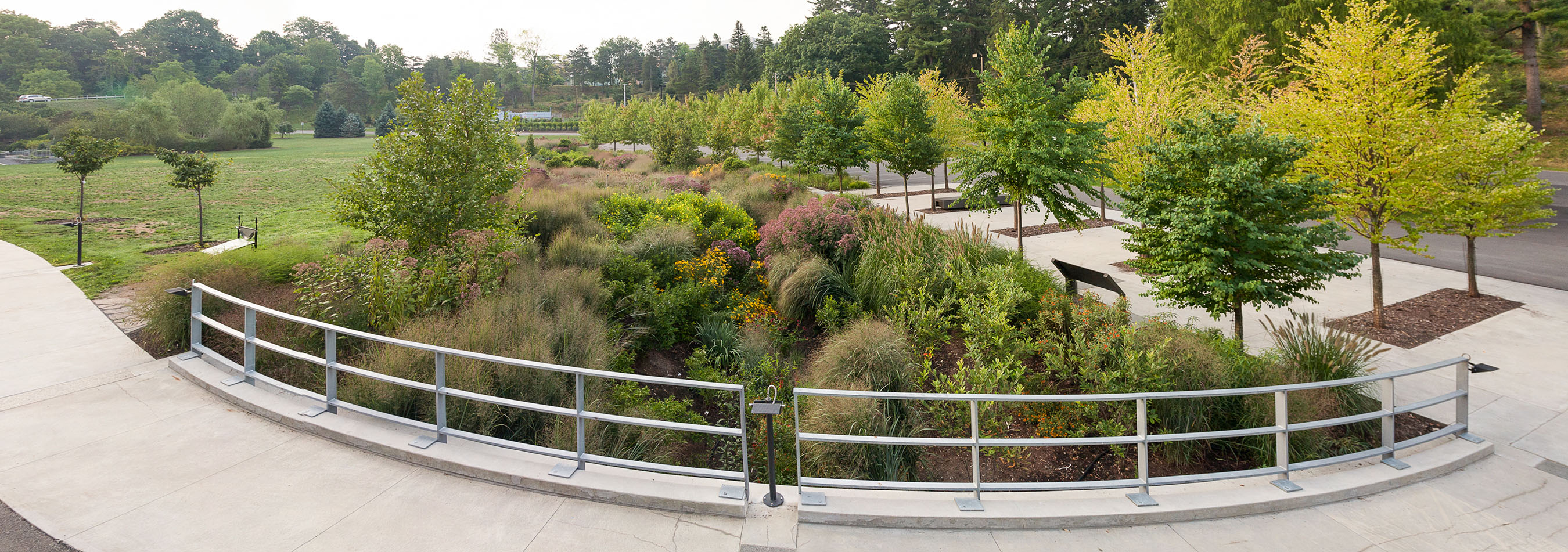 Botanic Gardens Bioswale