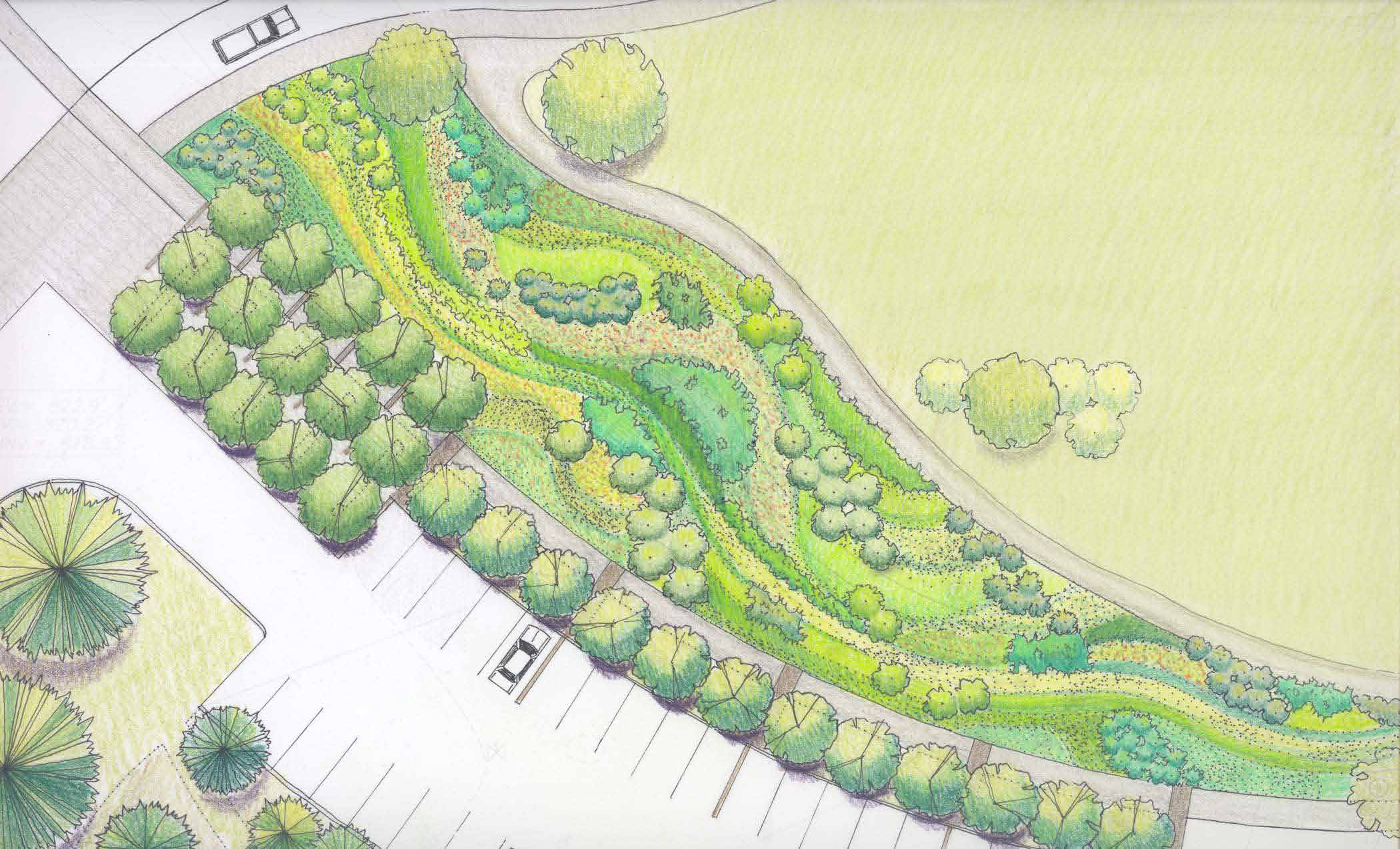 Botanic Gardens Bioswale rendering