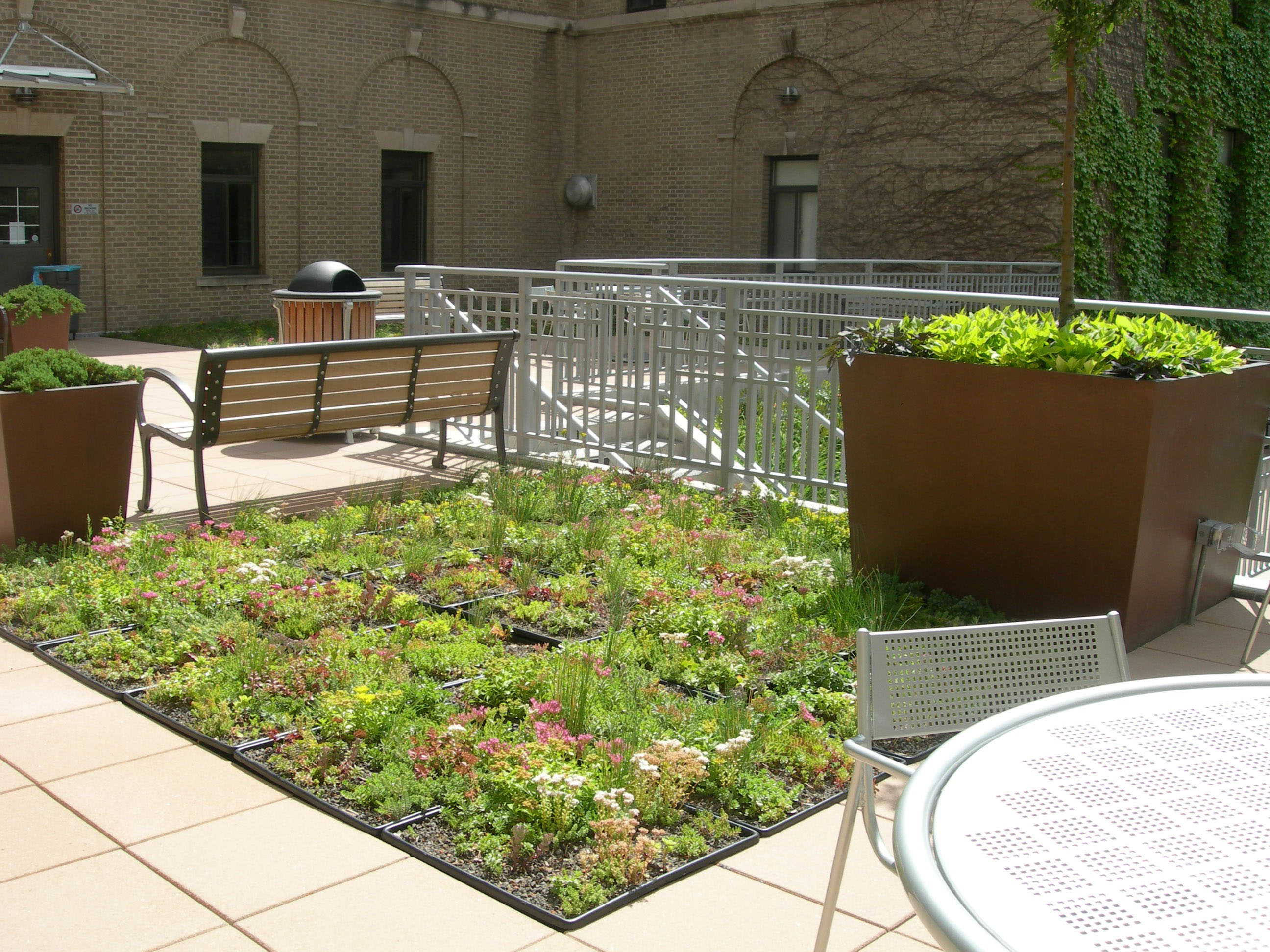 Mann Library Green Roof