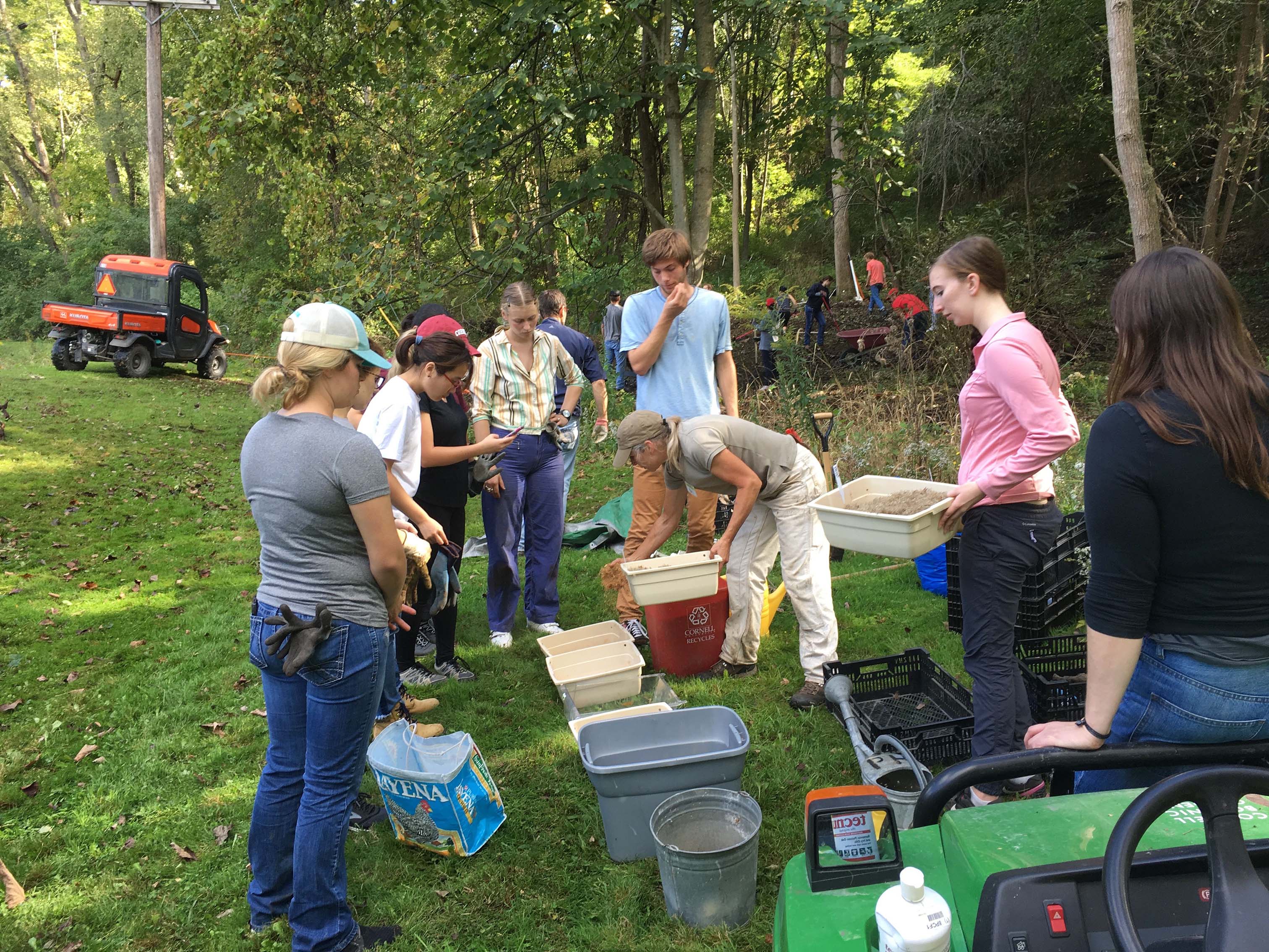 Cornell class planting native seeds in the Mundy Wildflower Garden.