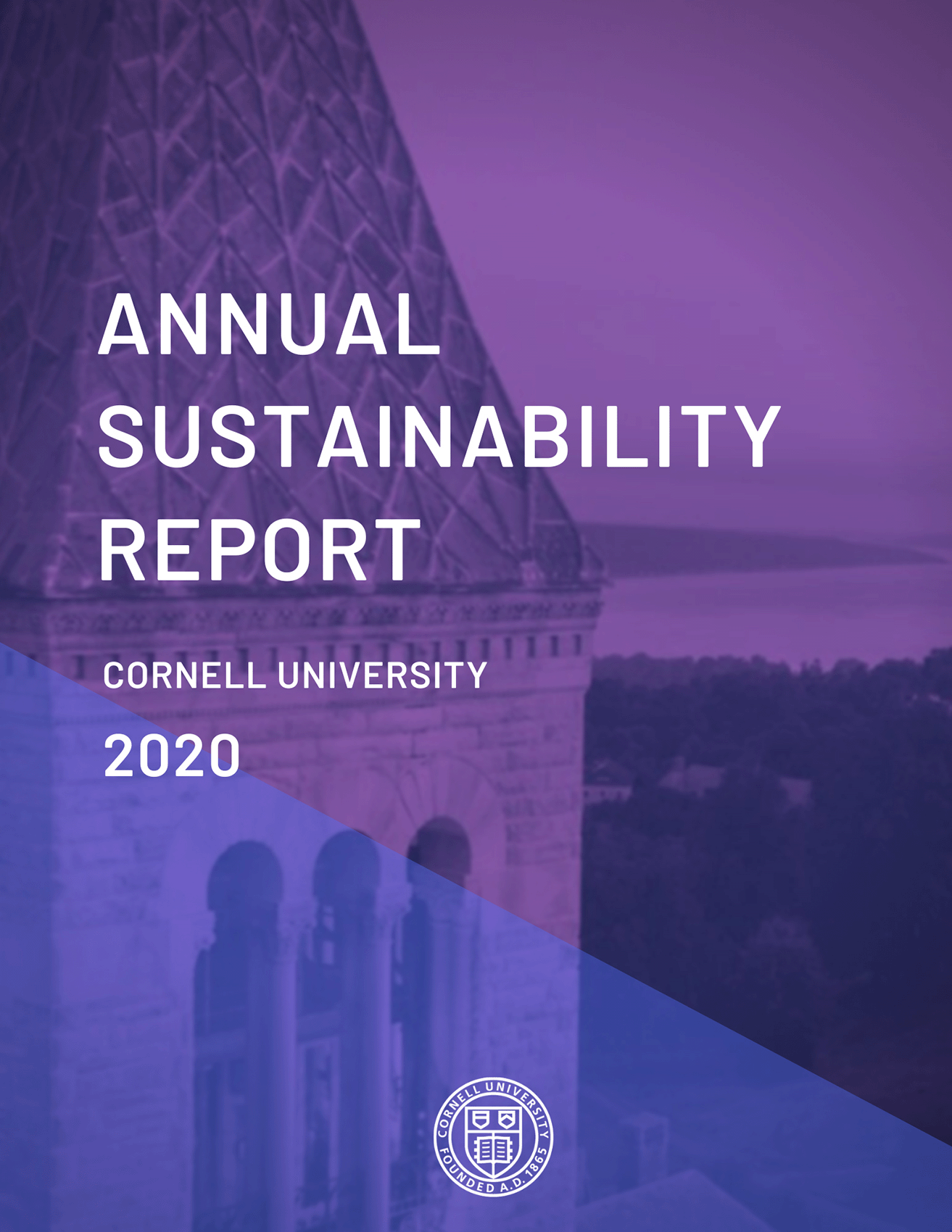 2020 Annual Report