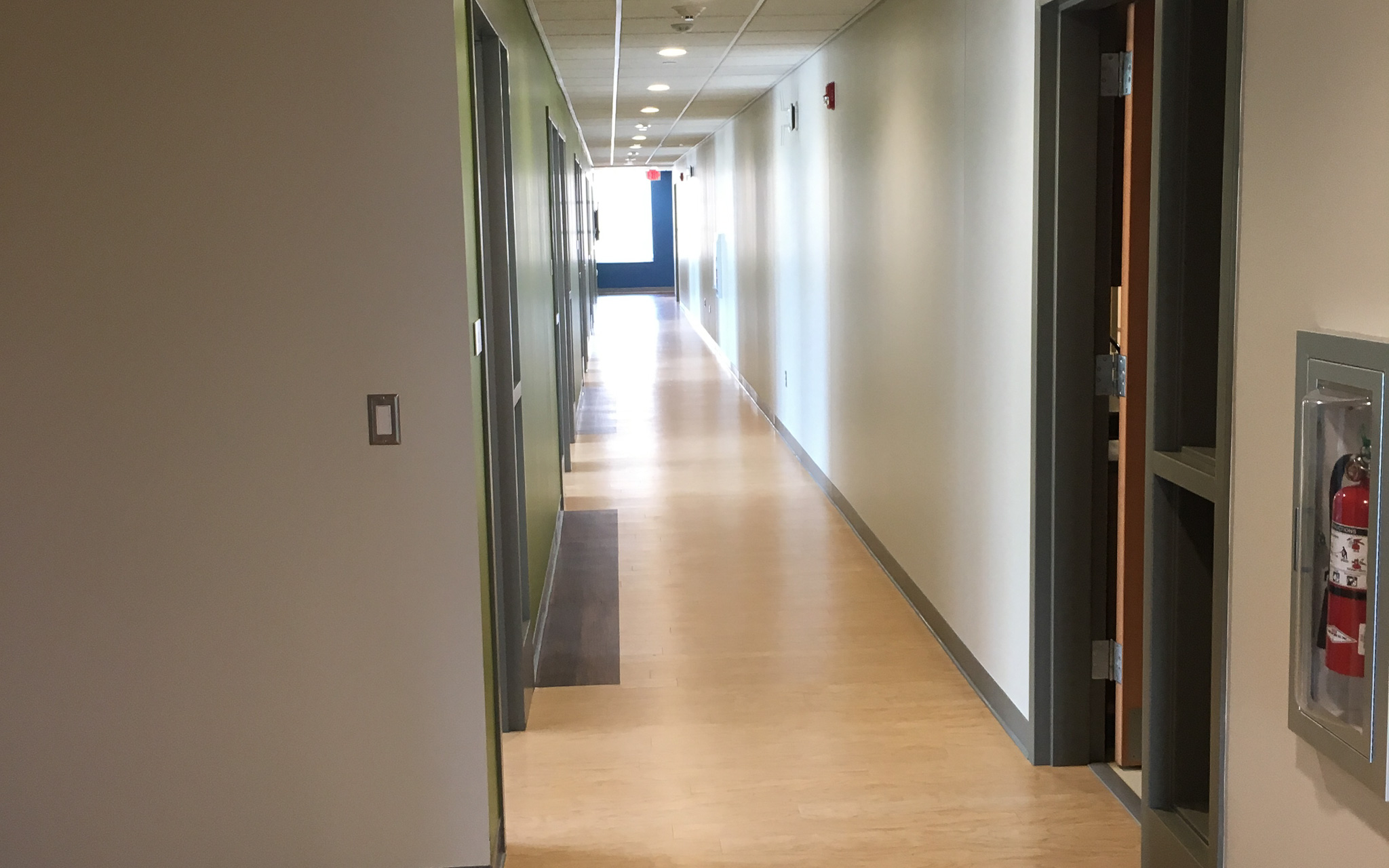 Small Animal Community Practice interior