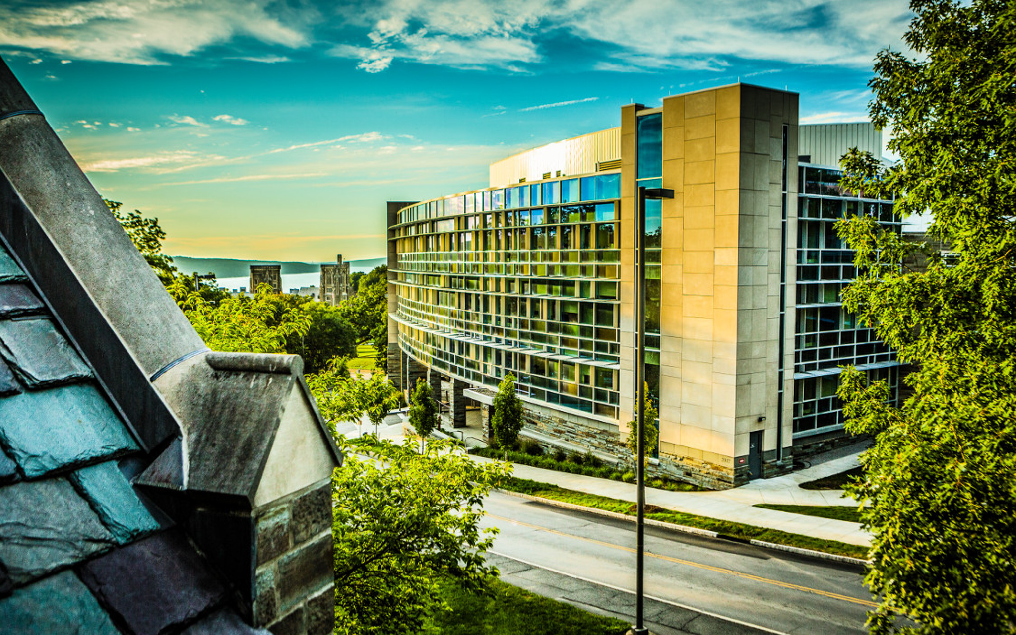 Trees reflected in the Health Services exterior windows