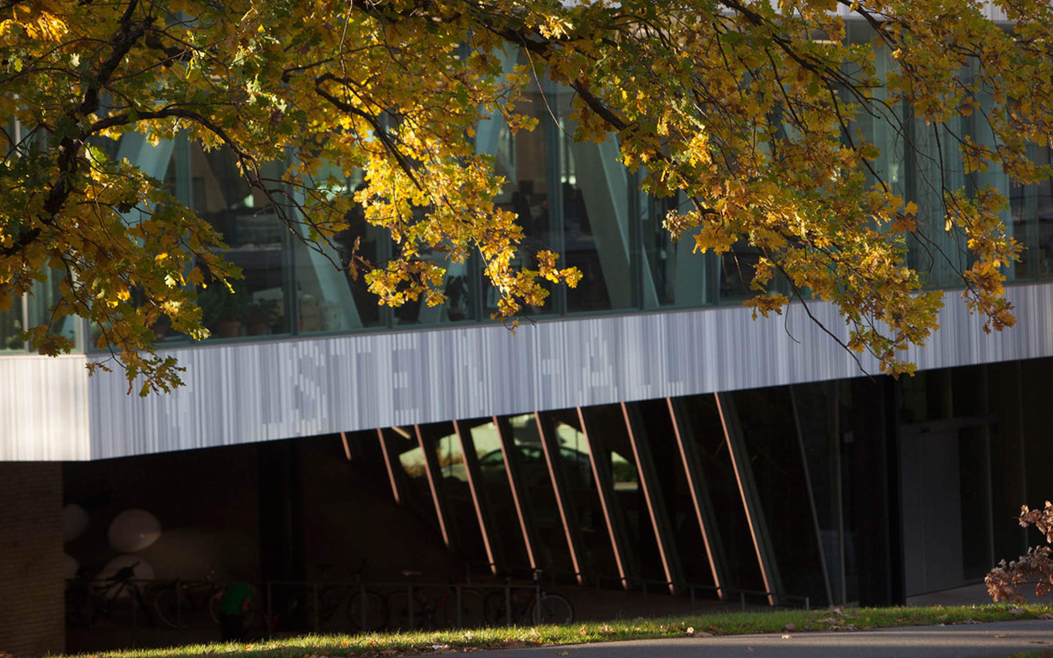 Outside of Milstein Hall