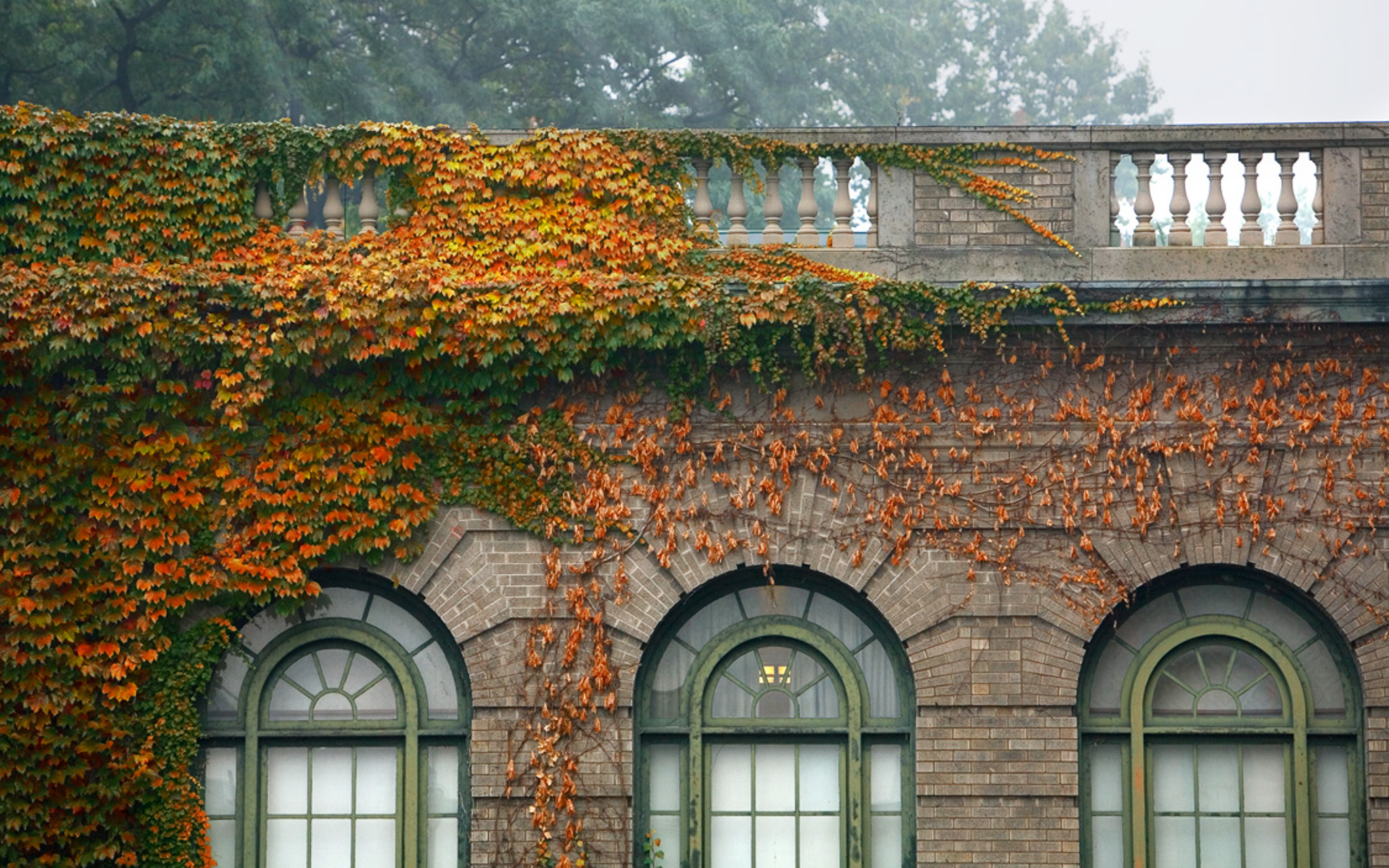 Vegetative overgrowth on the exterior of Warren Hall