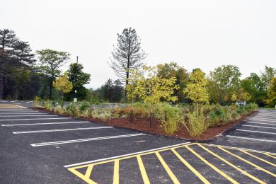 View of the peterson parking lot from the street