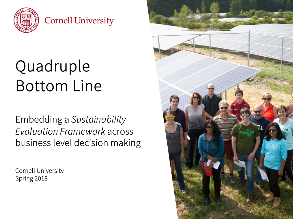 PDF cover with title "Quadruple Bottom Line Analysis Overview"