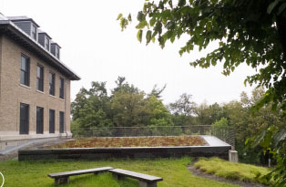Small garden planted on the roof of Fernow Hall