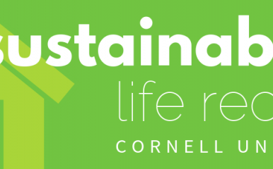 Sustainability Life Recipes