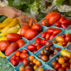 vegetables at farmers market
