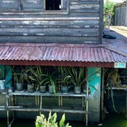 Through installations of flood gates, walls to block water and drainage system cleaning, residents worked to remain in place amid evolving risk, Cornell research has found.