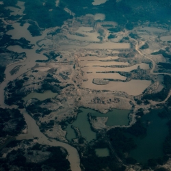 Deforestation in the Amazon has dramatically increased in recent years, threatening the ecosystem and local communities.