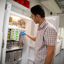 Researcher using lab freezer