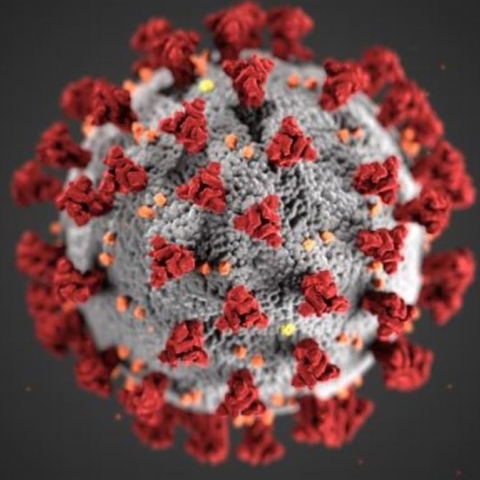 COVID-19 virus