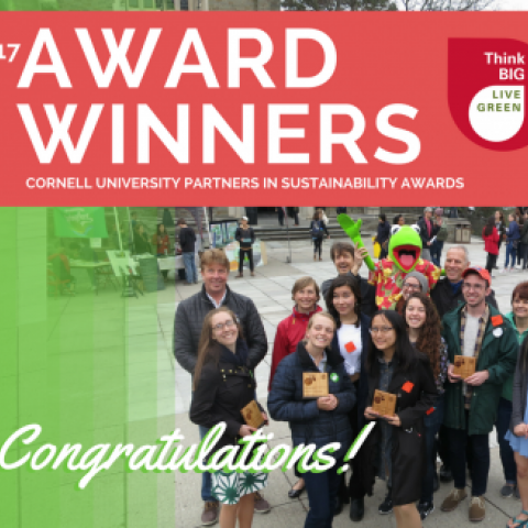 Group of staff cheering for award winners