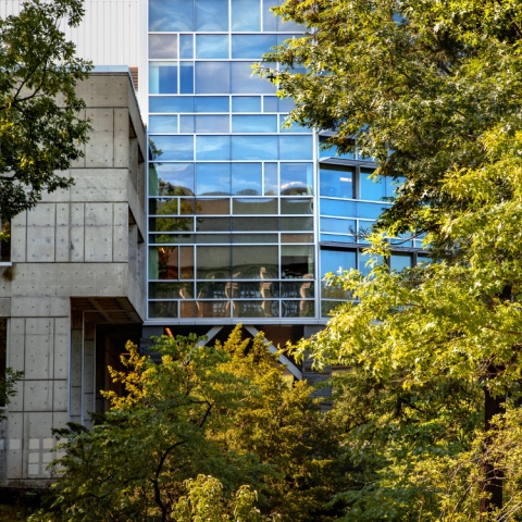 Cornell Health surrounded by the green leaves of summer.