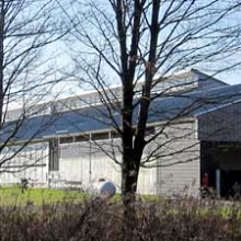 The teaching dairy barn behind a tree
