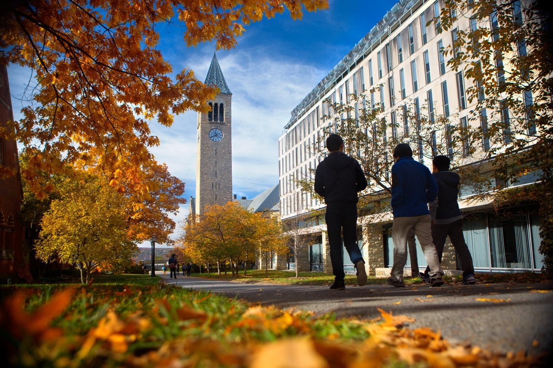 Cornell campus in the fall