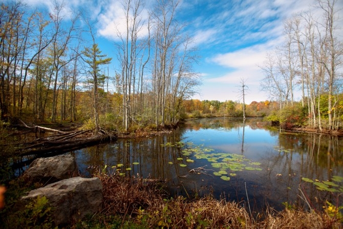 a view of Beebe Lake on a sunny day